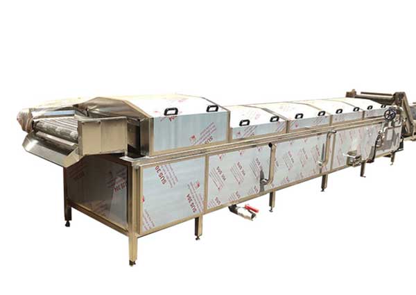 Blanching Pasteurizer Machine