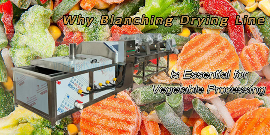 Why Blanching Drying Line is Essential for Vegetable Processing